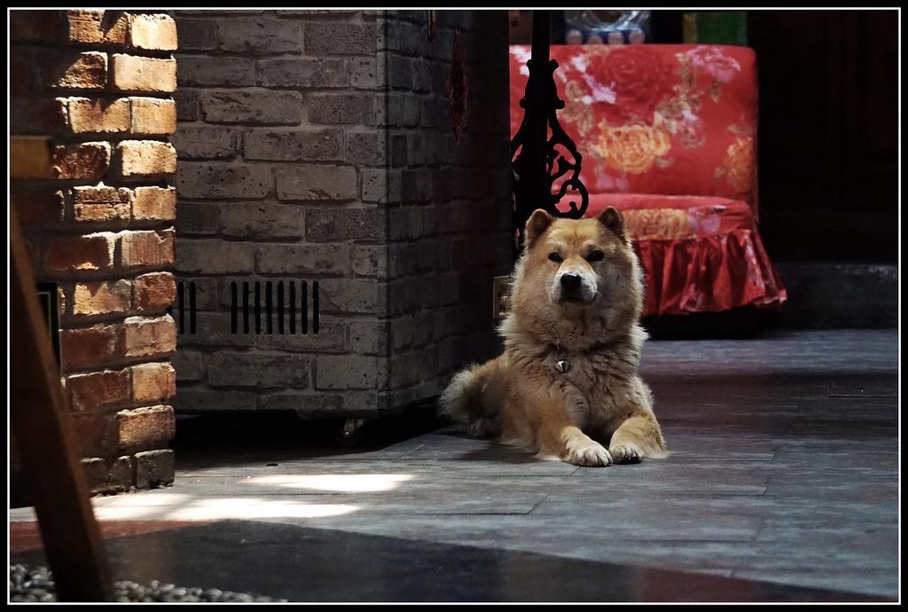 Red Lantern House Hostel Beijing Exterior foto